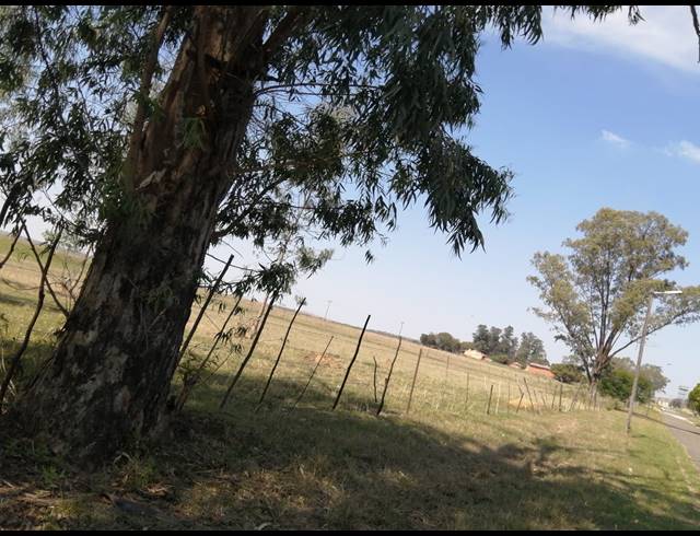 33HA FARM FOR SALE IN INGAGANE